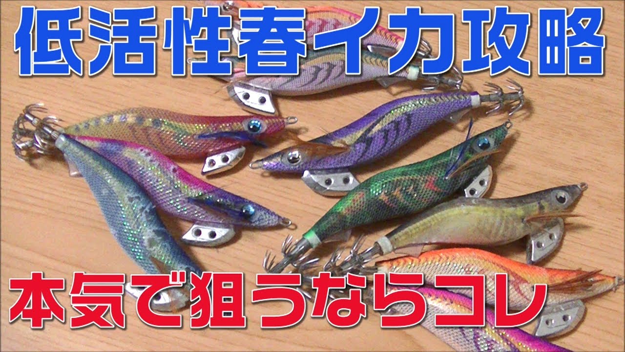 【エギング】おすすめ！春イカ低活性をエギカラーローテで攻略！デカイカとるならこれ！新色エギ解説！