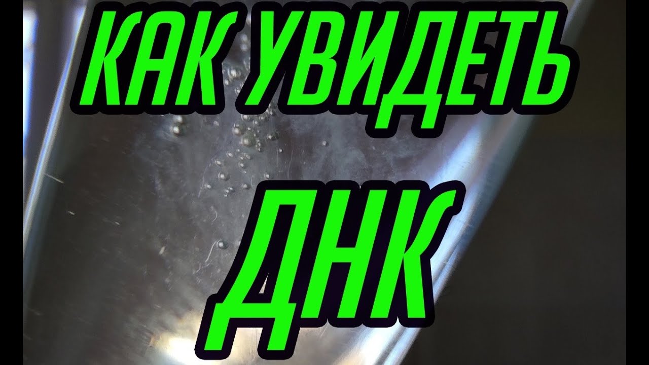 Выделение ДНК в домашних условиях