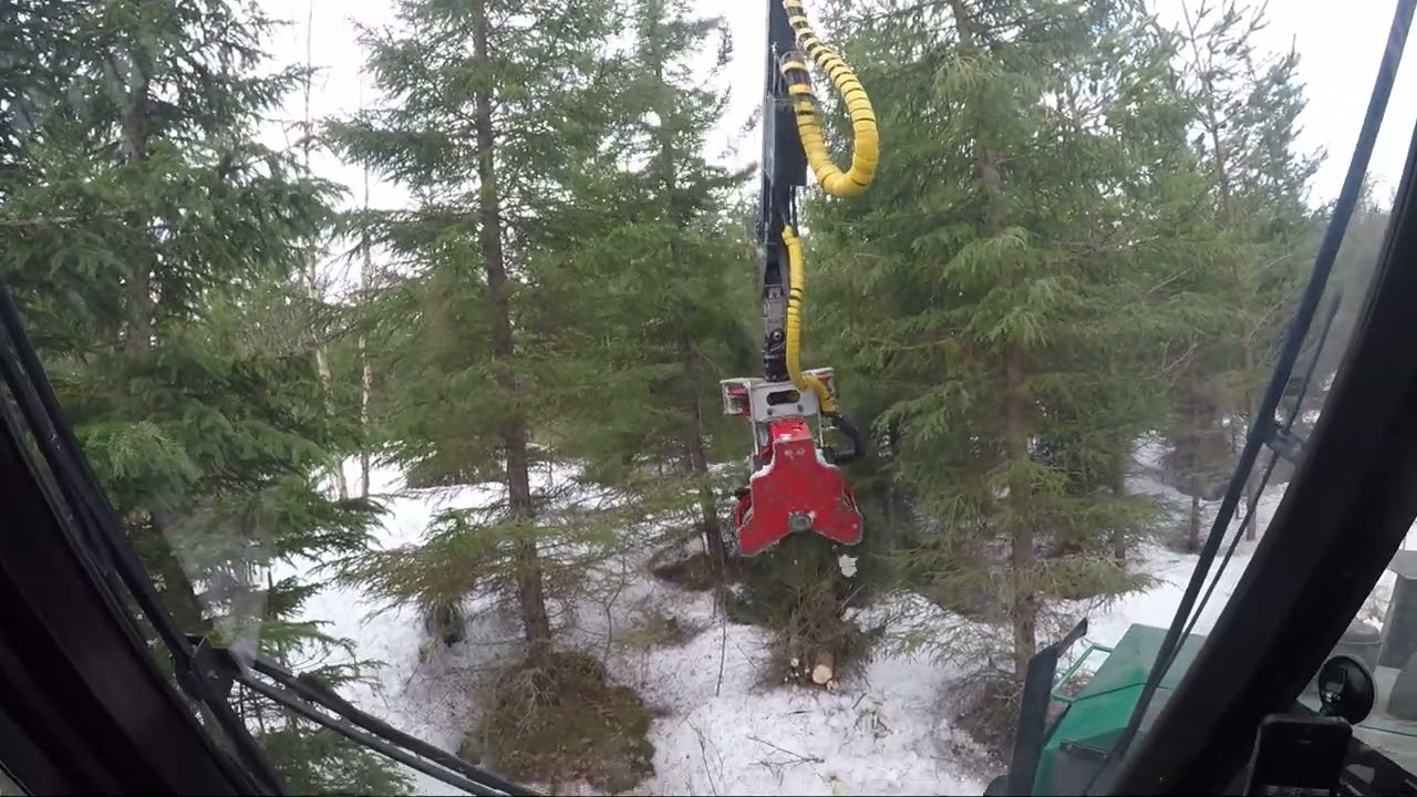 Energia kokopuun tekoa logman & Nisula