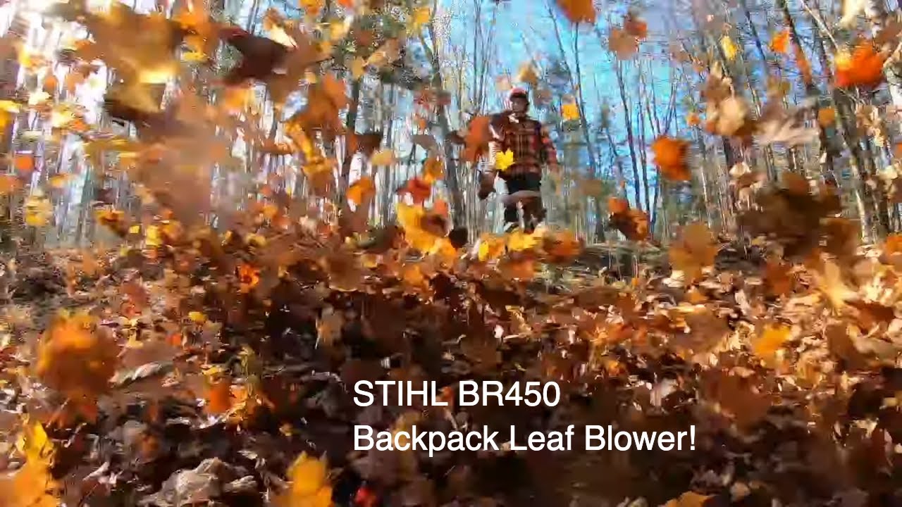 487 Ранцевая воздуходувка STIHL BR450. Сожалею ли я? Осенний уход за участком.