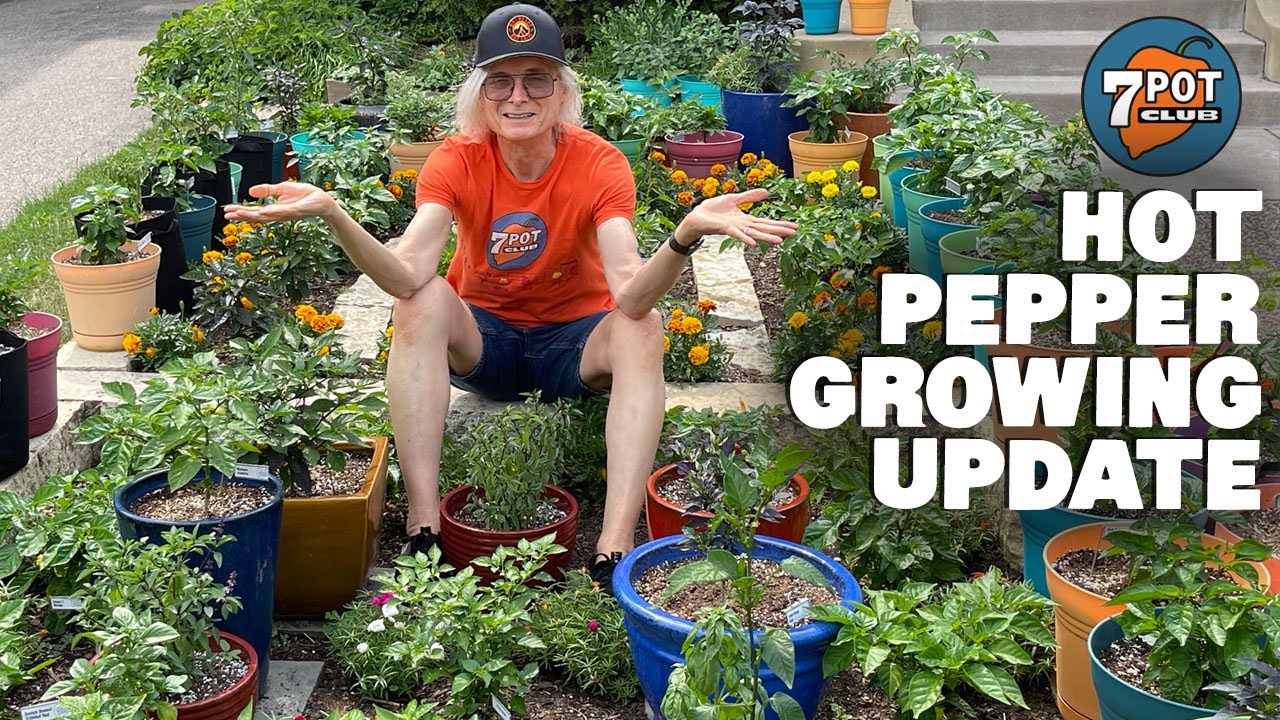 Planting’s All Done: 2021 Hot Pepper Grow Season Episode 5