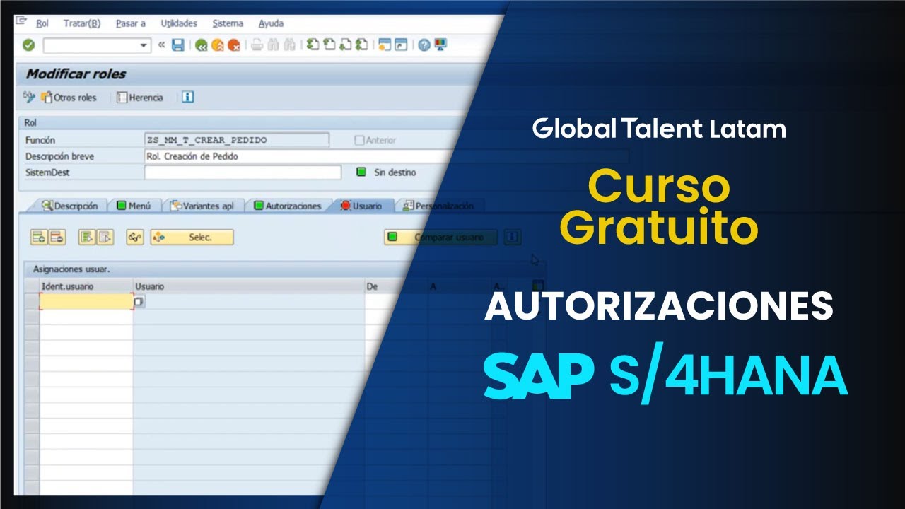 Seguridad de Roles y Autorizaciones en SAP S/4HANA - 2