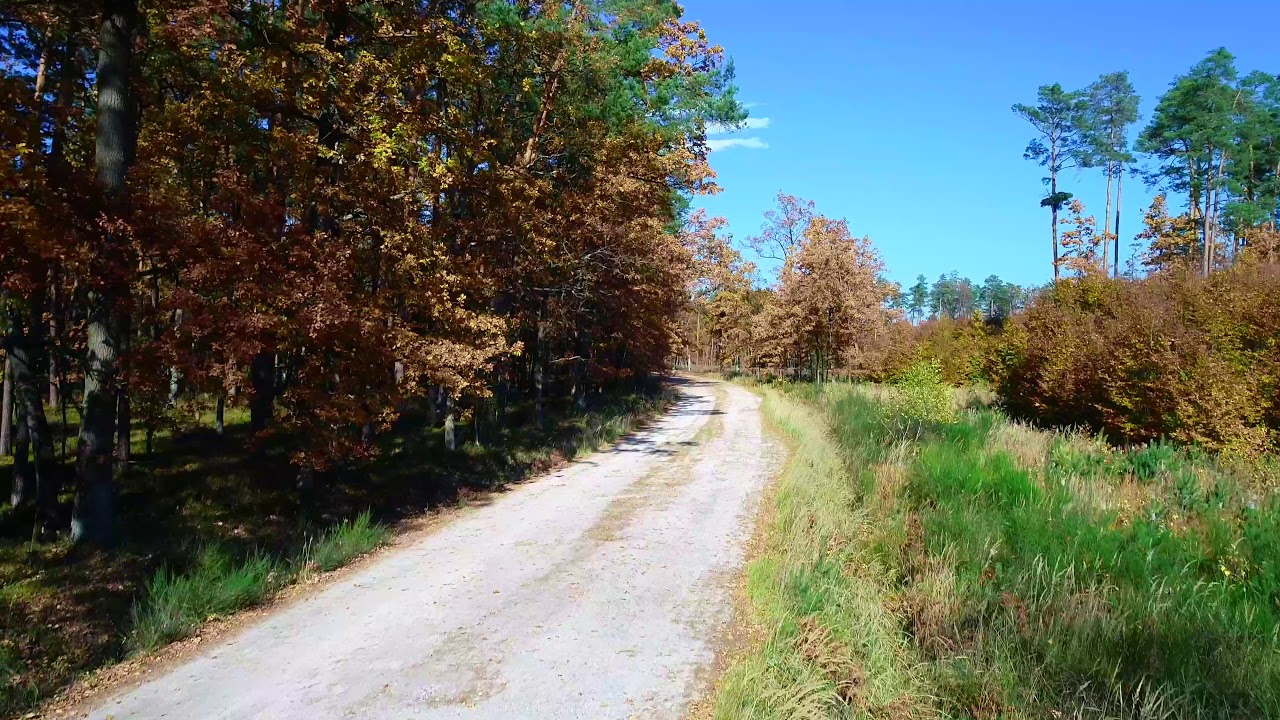 Bratkowice 4K