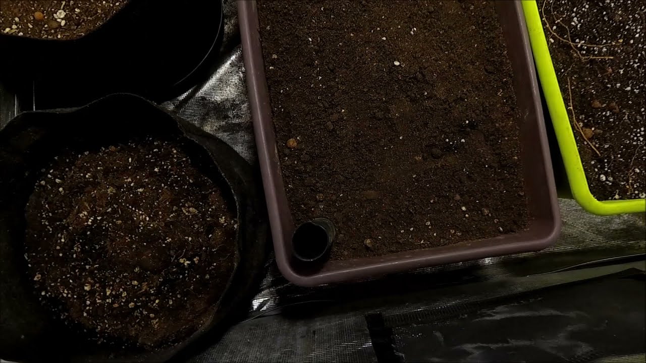 HOW I GO ABOUT RE-AMENDING & RECYCLING MY ORGANIC SUPER SOIL MIXTURE