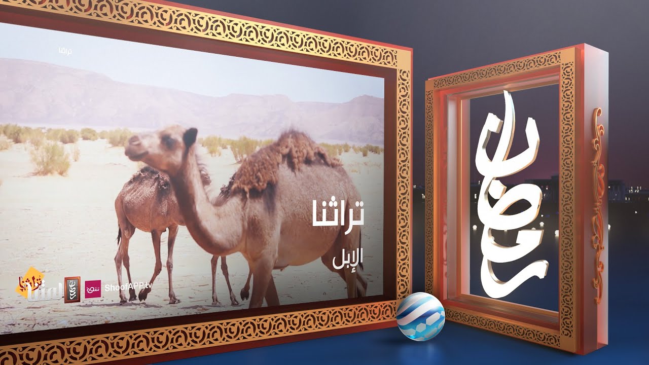 تراثنا - الإبل