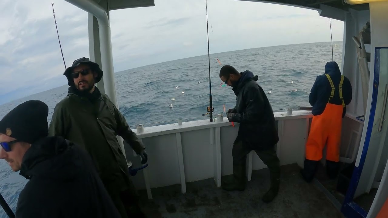 DET GULE REV 1 How its done #torsk #uncutstorytime #codfish #danmark #torskfiskeri #vesterhavet