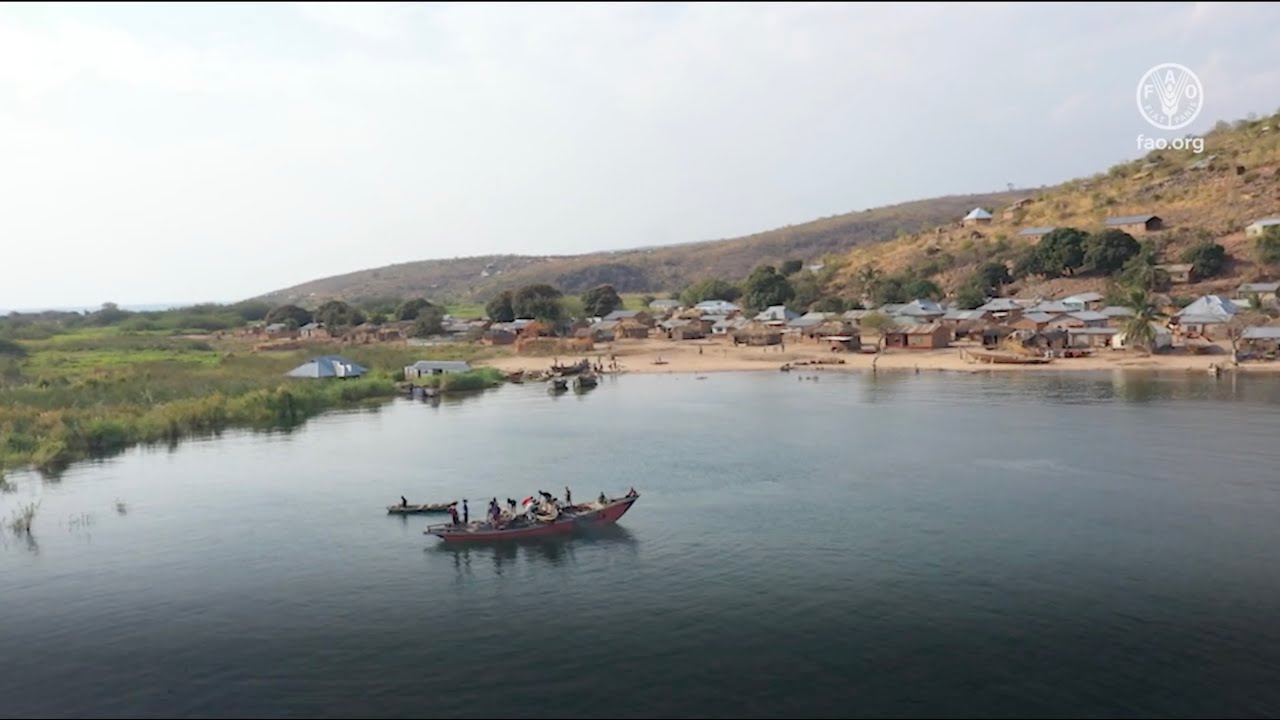 Zambia &ndash; Caring for Kapenta
