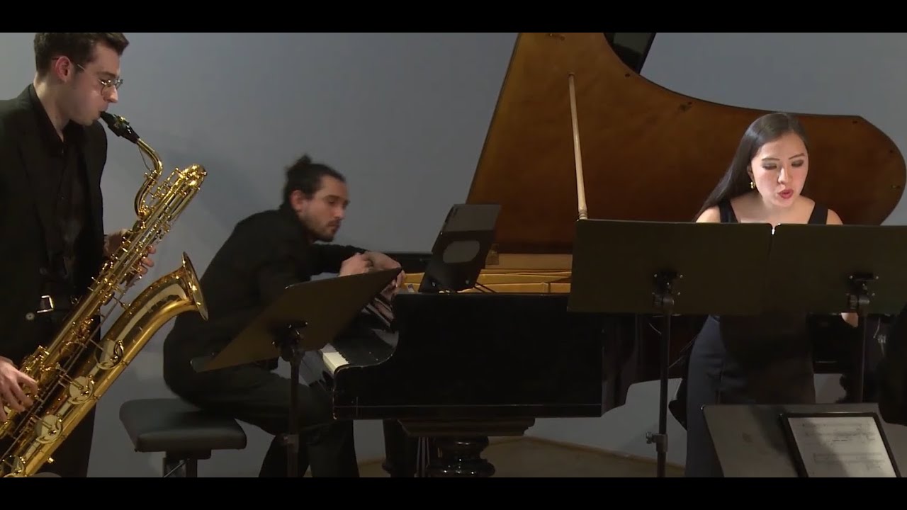 Miguel Segura Sogorb &ndash; Hybris (Hungarian Premiere)