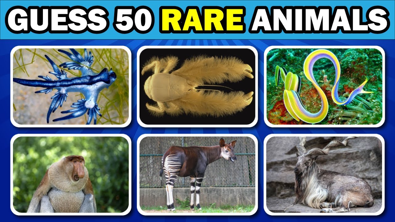  Hard Animal Quiz Challenge | Can You Score 30/50? 🦁🐯