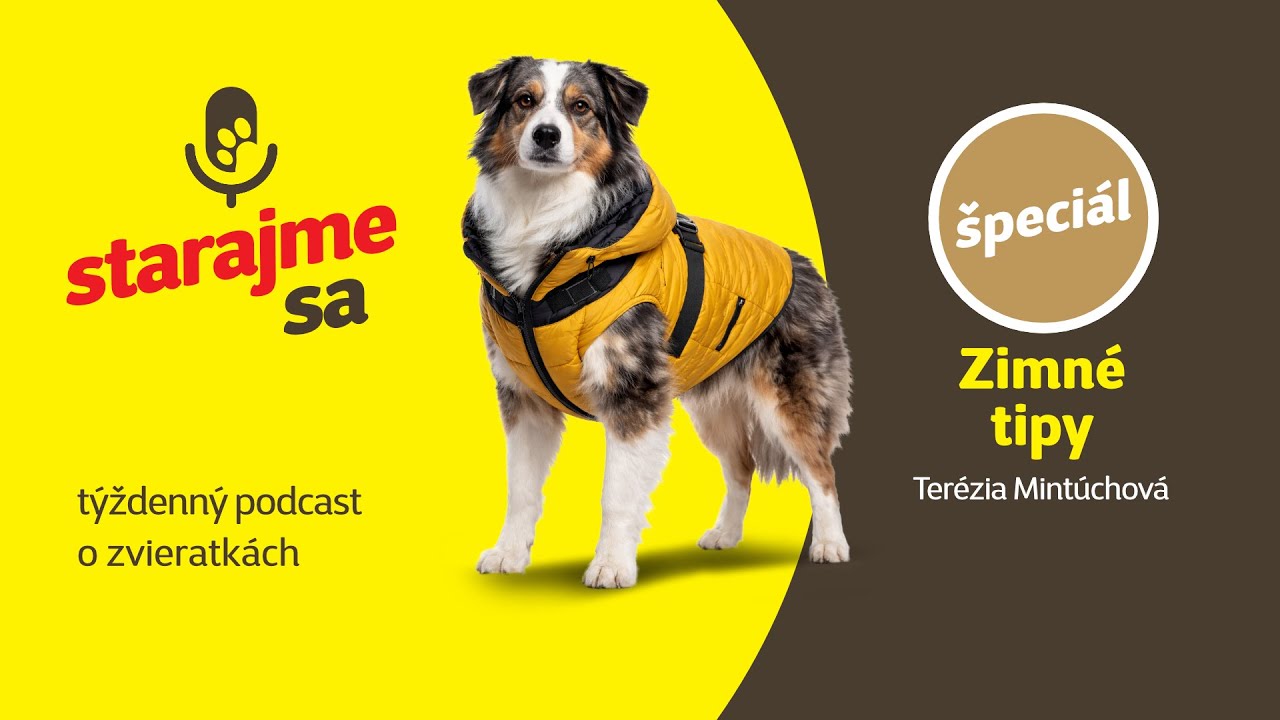 Starajme sa | Špeciál: Zimné tipy