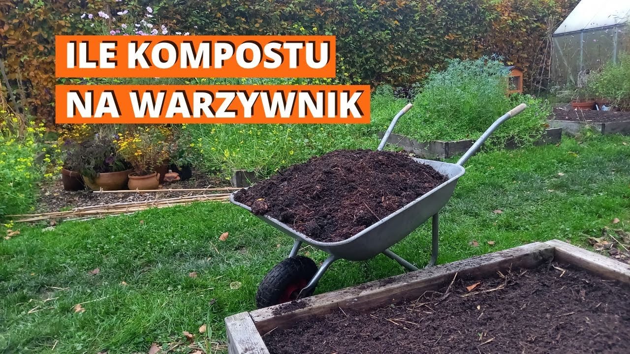Ile kompostu na warzywnik? Jesienne ściółkowanie.