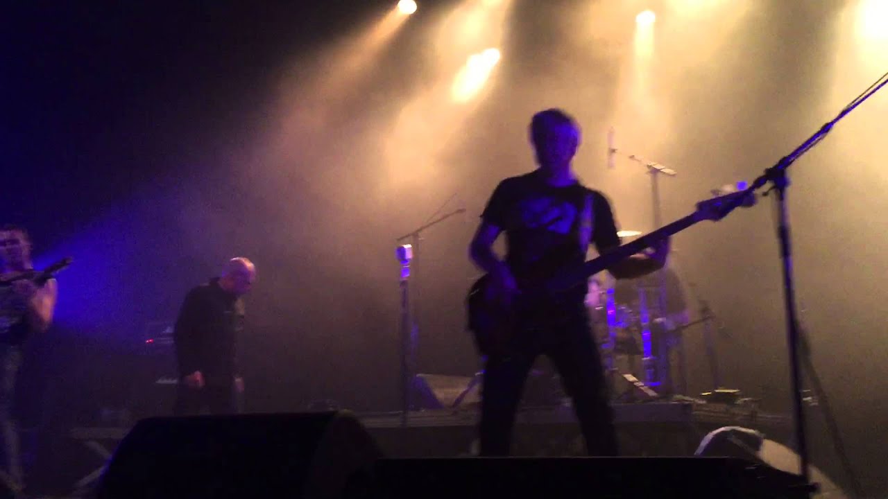 COLD CASH - Concert TRANSBORDEUR LYON - Juin 2015