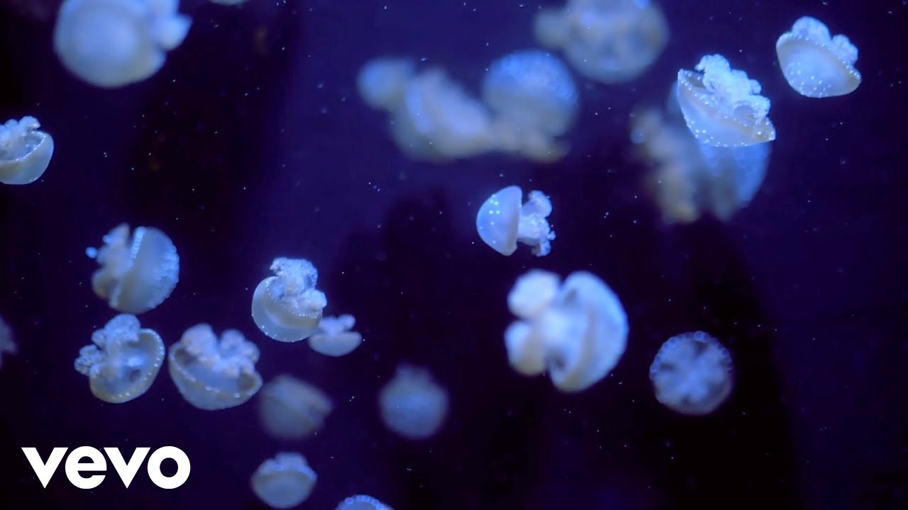 Shoshana Michel - Floating (Official Music Video)
