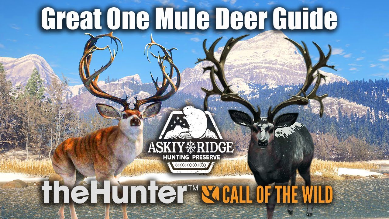 Гид по оленям-мулам в Аски-Ридж — theHunter Call Of The Wild