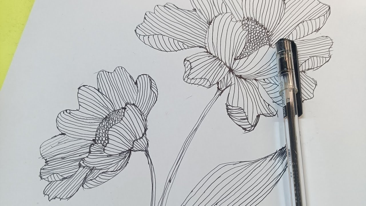 Pen drawing beautiful flower Live sketch 
