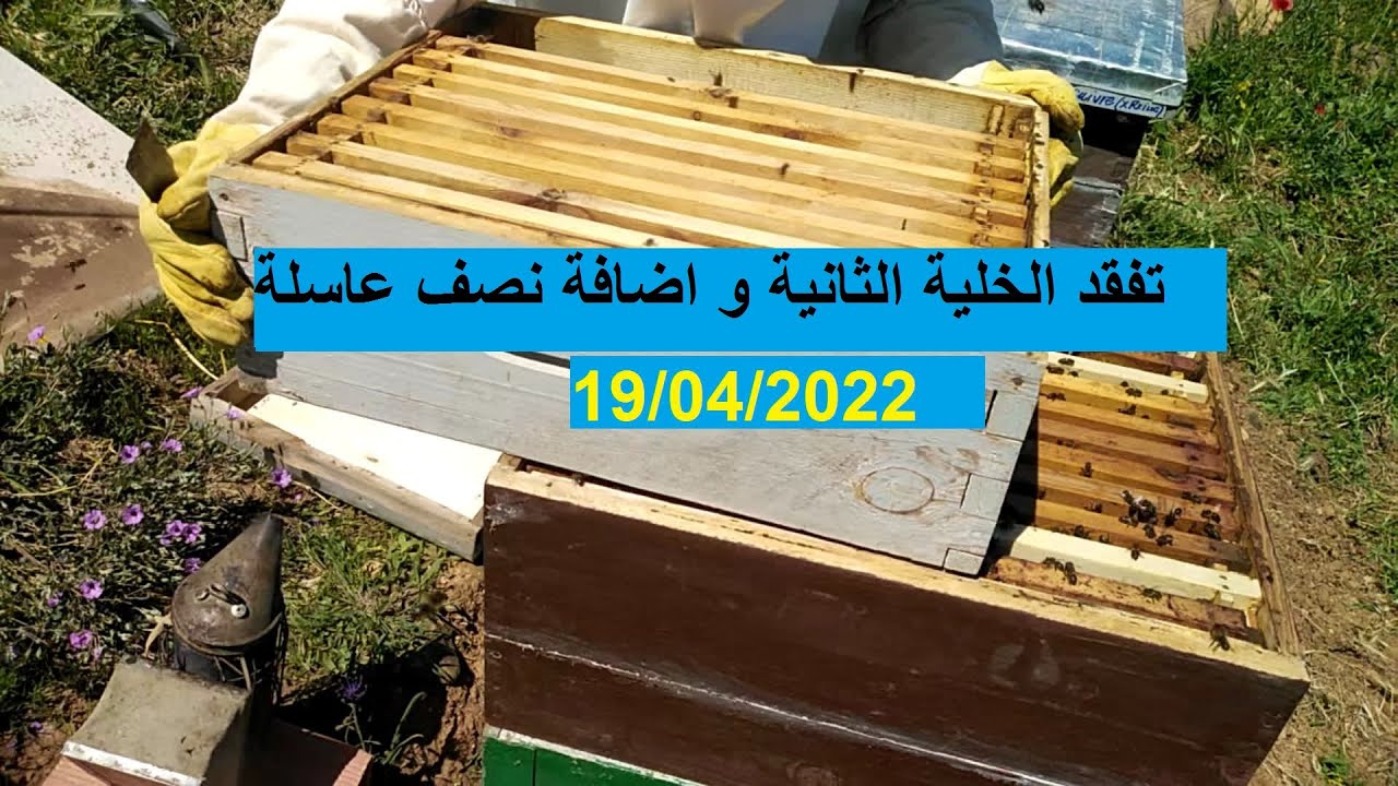 تفقد الخلية الثانية و اضافة نصف عاسلة