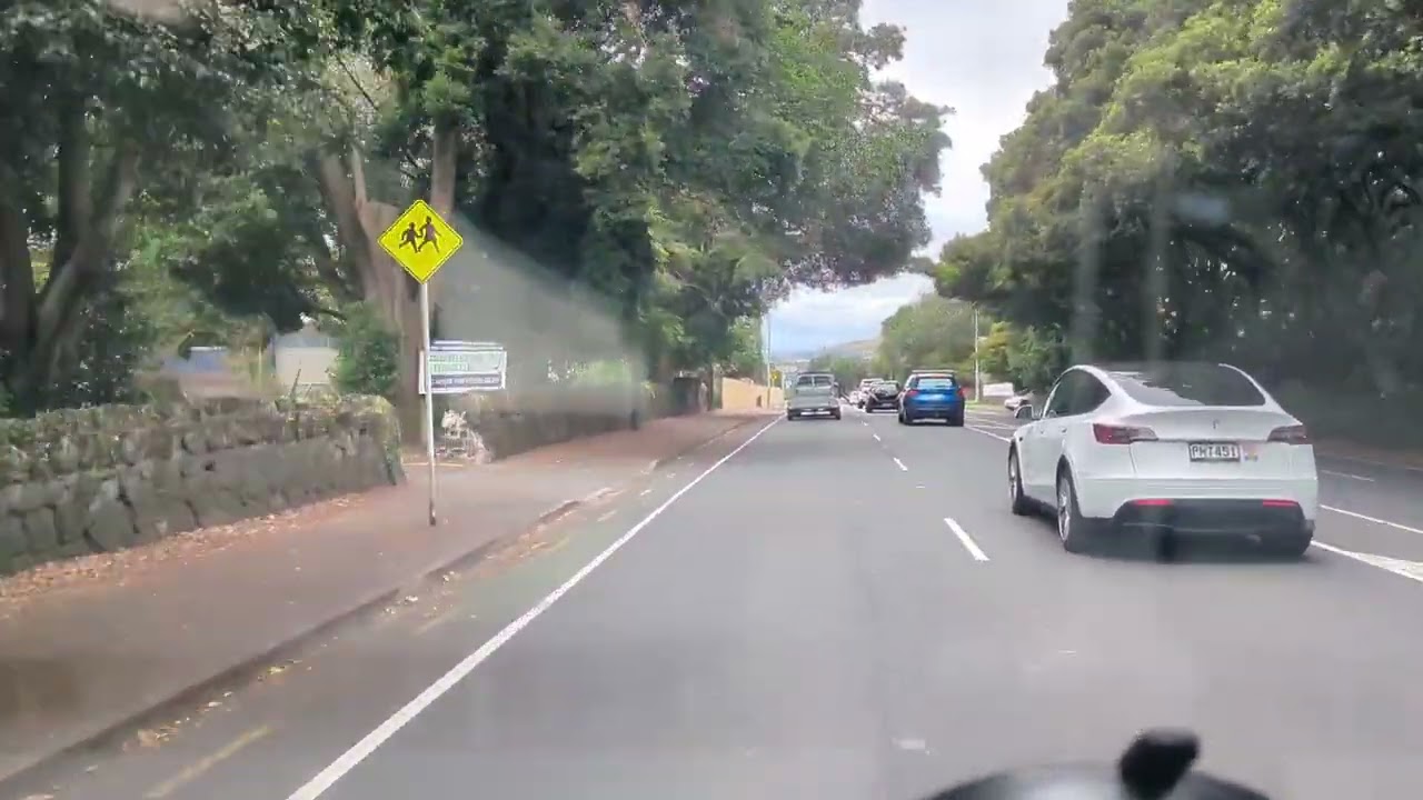 A Suburban Area of Greenlane Auckland New Zealand