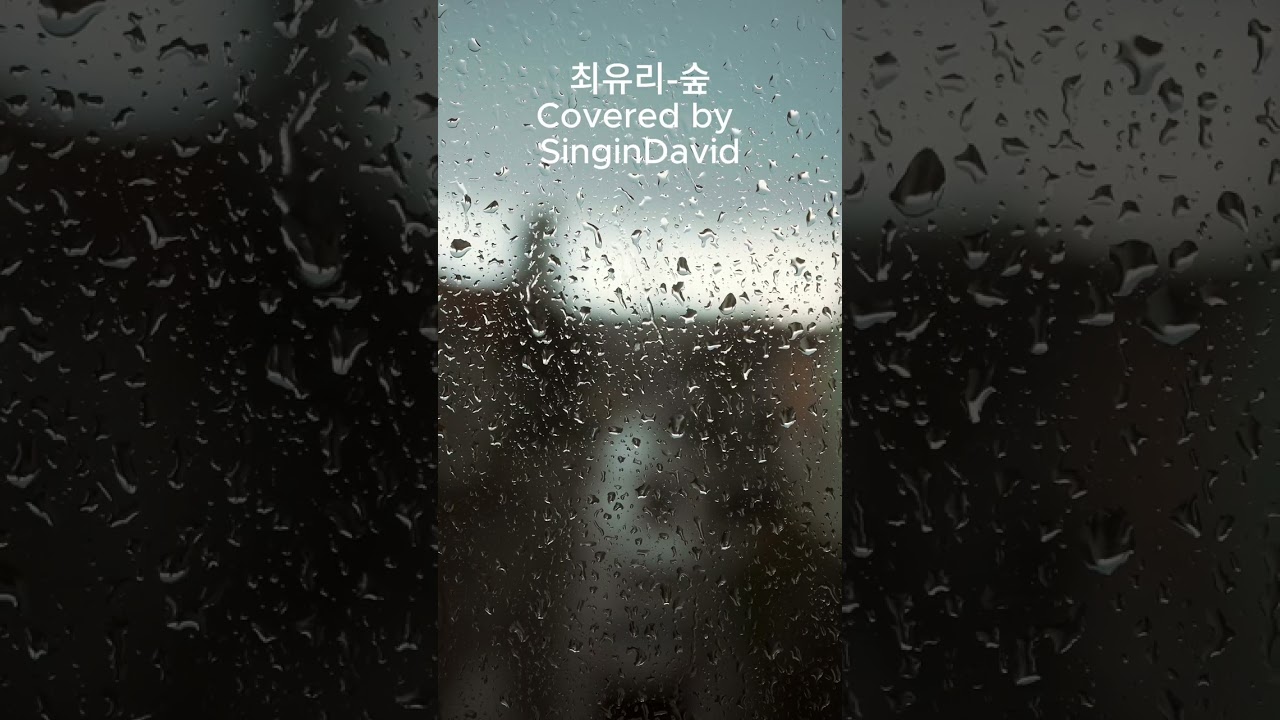 최유리-숲 by David