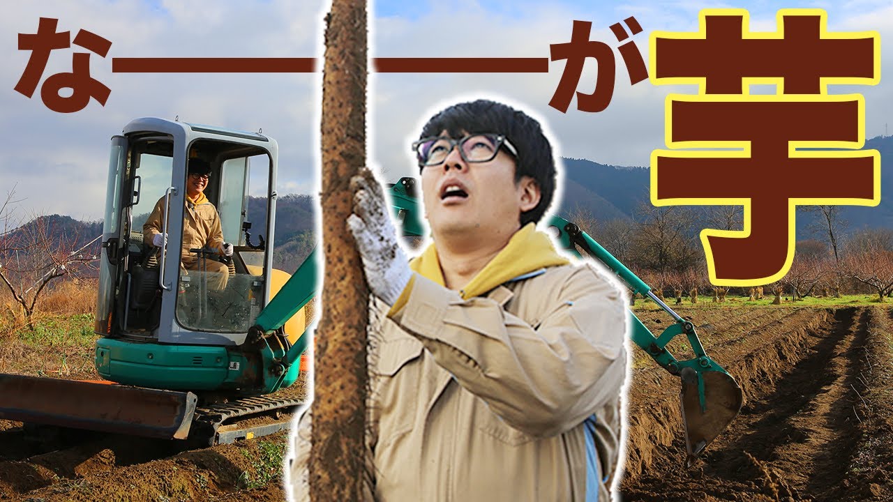 ねばトロッ長芋篇スタート！#1【絶品ソトメシ! 阿諏訪キャンプ】