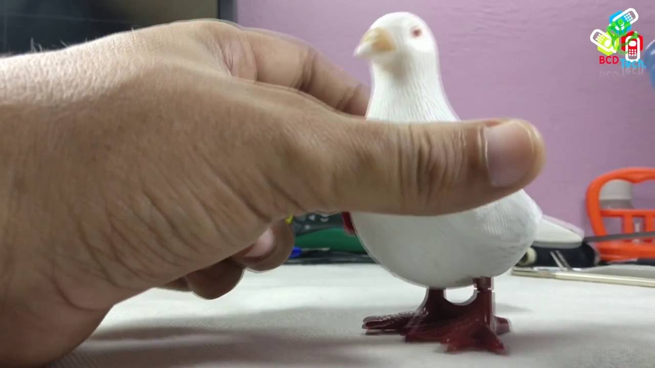 What Inside a Mechanical Toy: How a Pigeon Toy Works