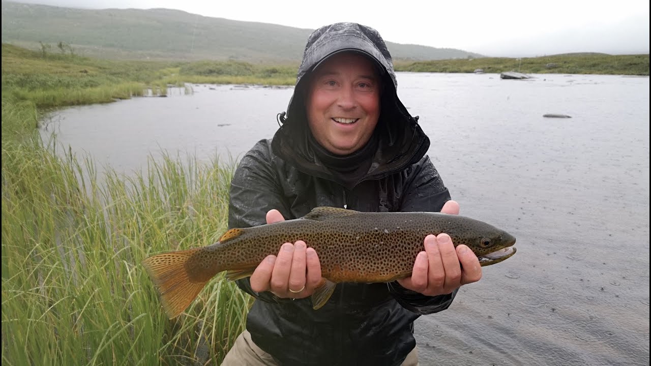 Trout fishing SE19