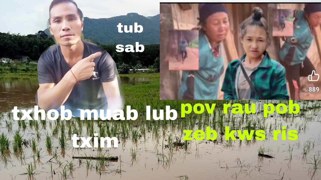 Qhov tseeb tus tub sab tsis yog pob zeb kws