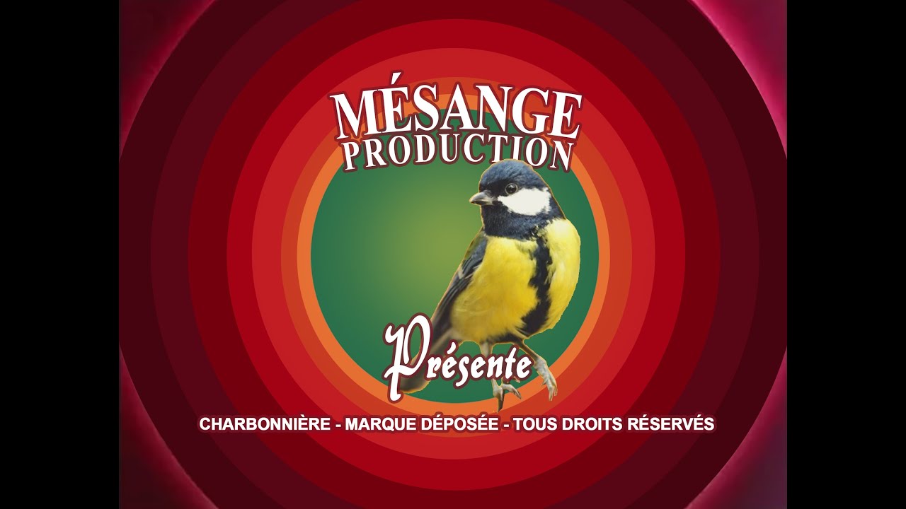 Les mésanges, épisode 11 : jour 1