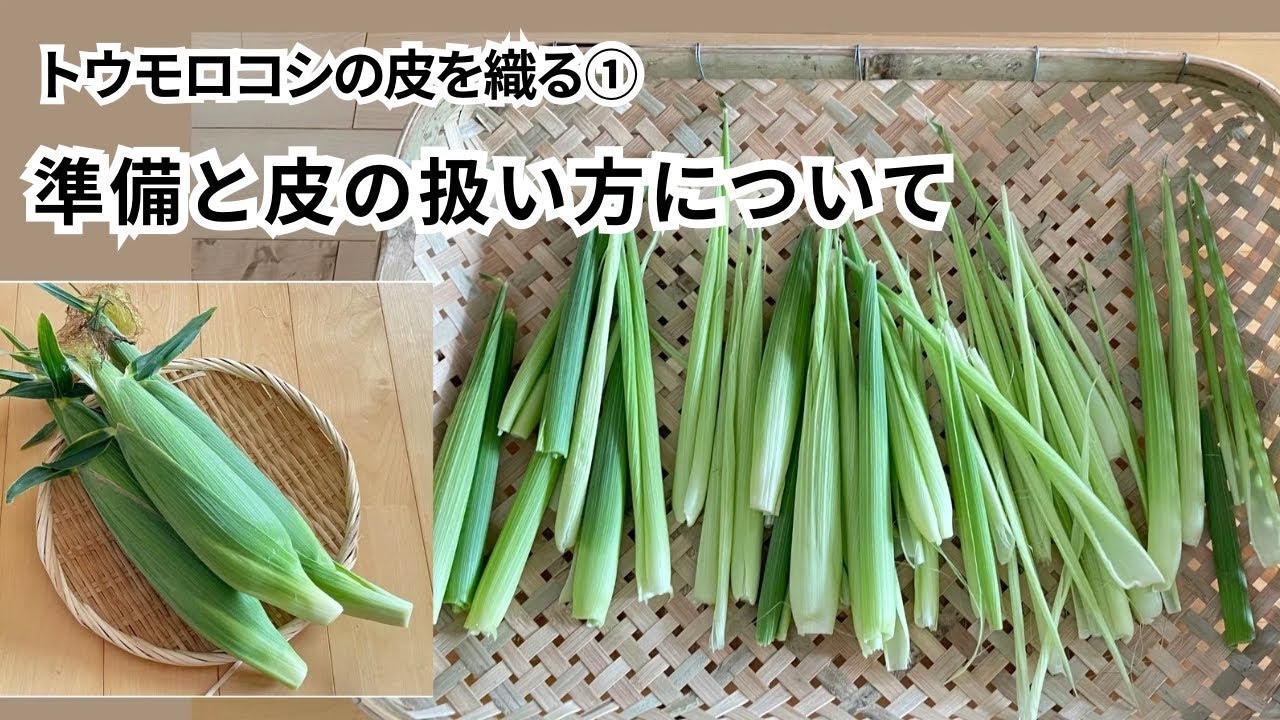 トウモロコシで手織り⭐︎準備と皮の扱い方