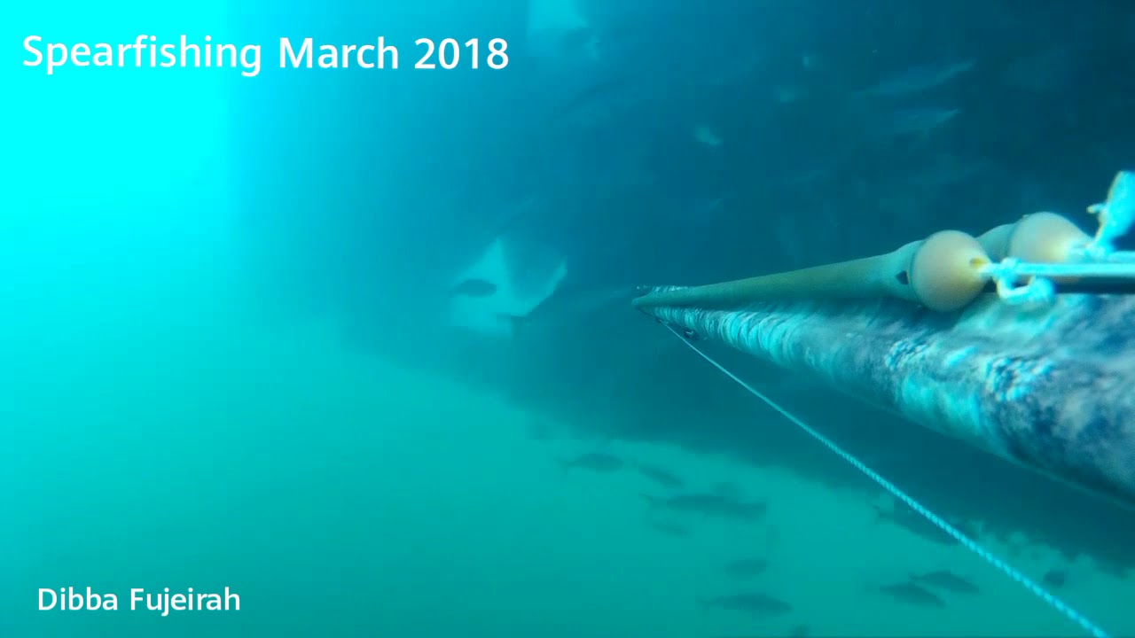 Omer cayman 95 ET Spearfishing fishing #spearfishingphilippines