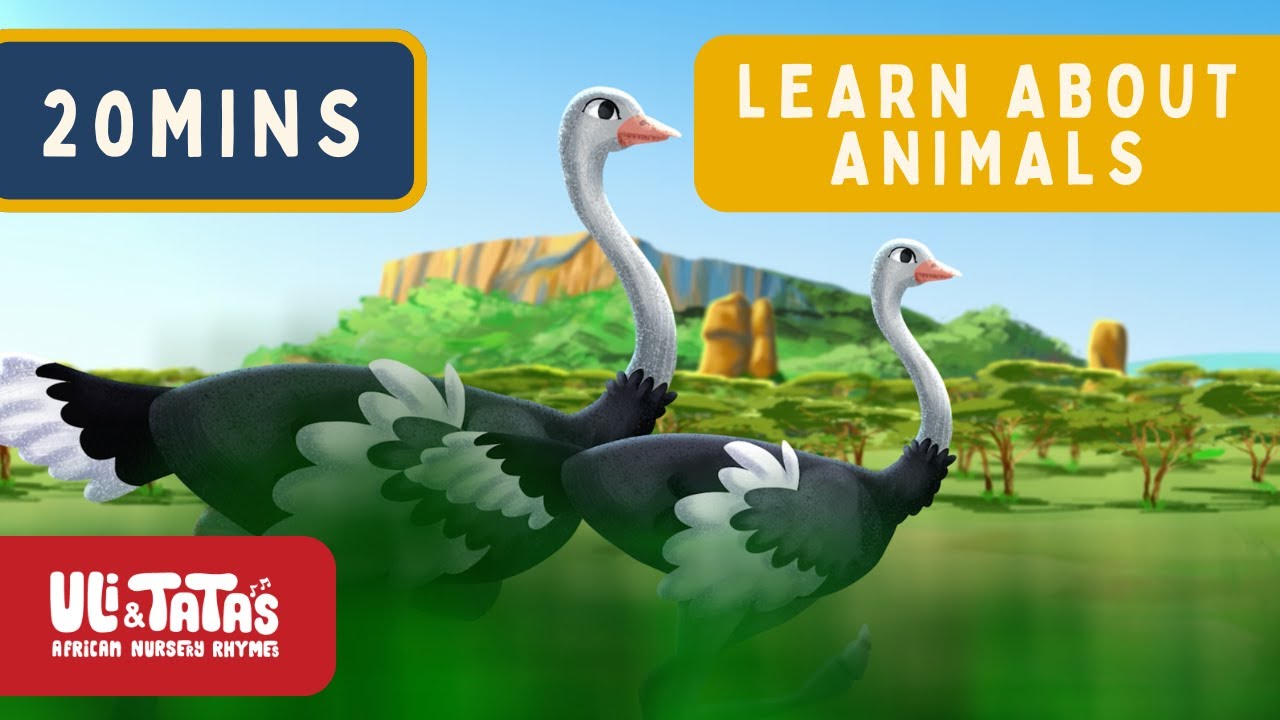 Learn About Animals 🐘🦁 with Uli & Tata | 20-Min Kids Fun Compilation ✨