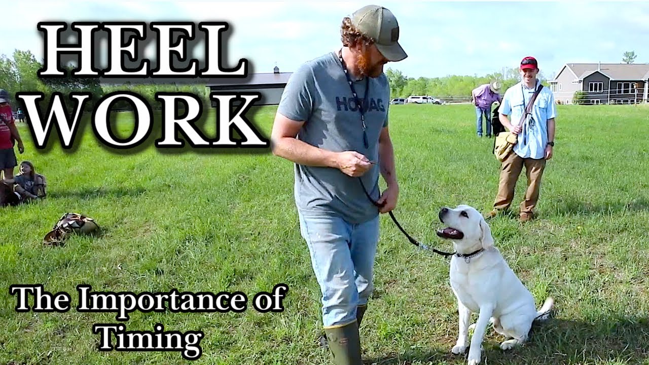 Heel Work: The Importance of Timing