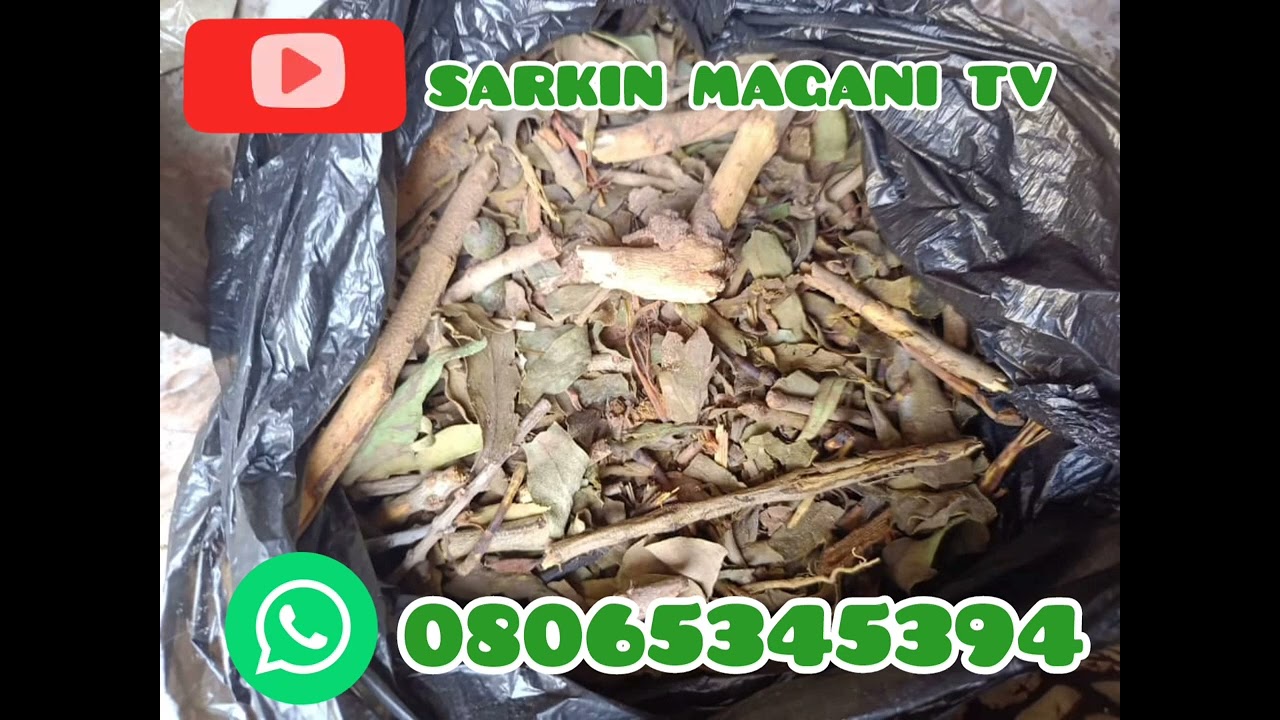 manyan surruka daga tashar SARKIN magani TV