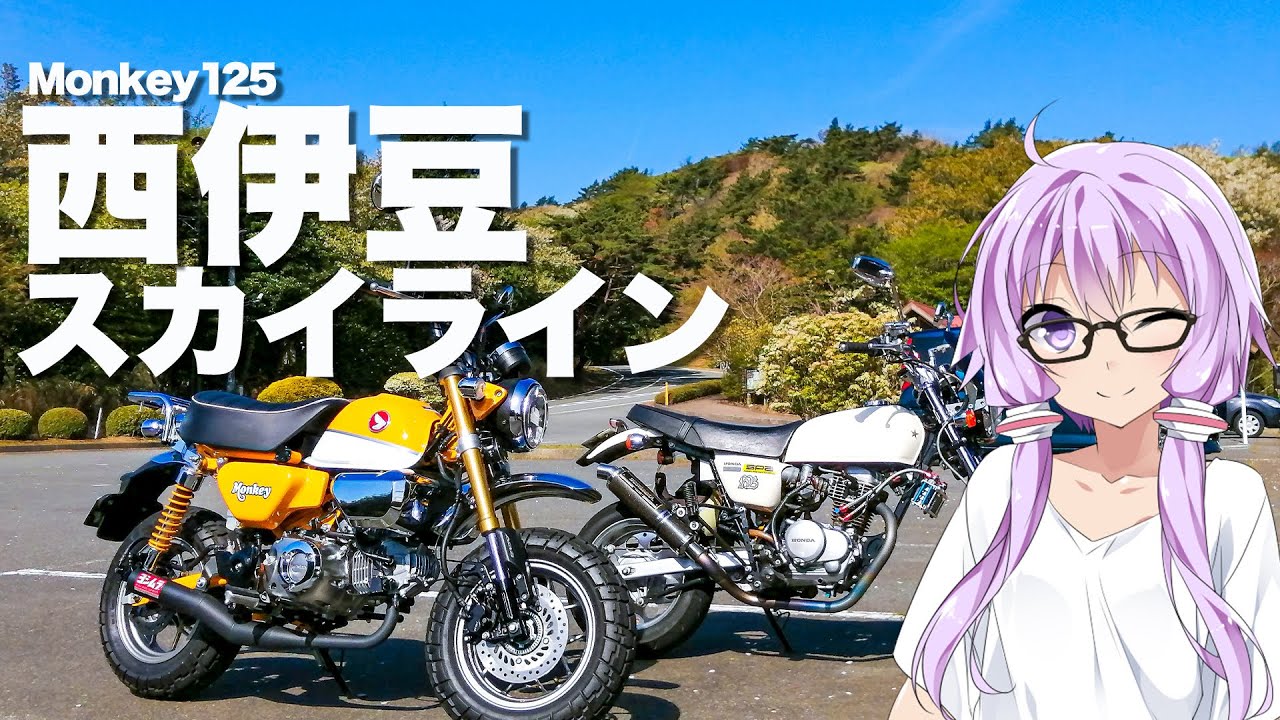 【Monkey125】西伊豆スカイライン【VOICEROID車載】