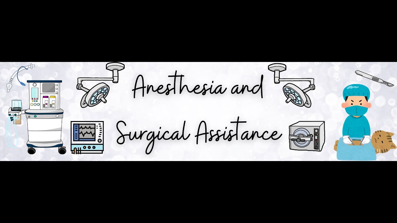 Setting up an anesthesia maching - rebreathing and nonrebreathing