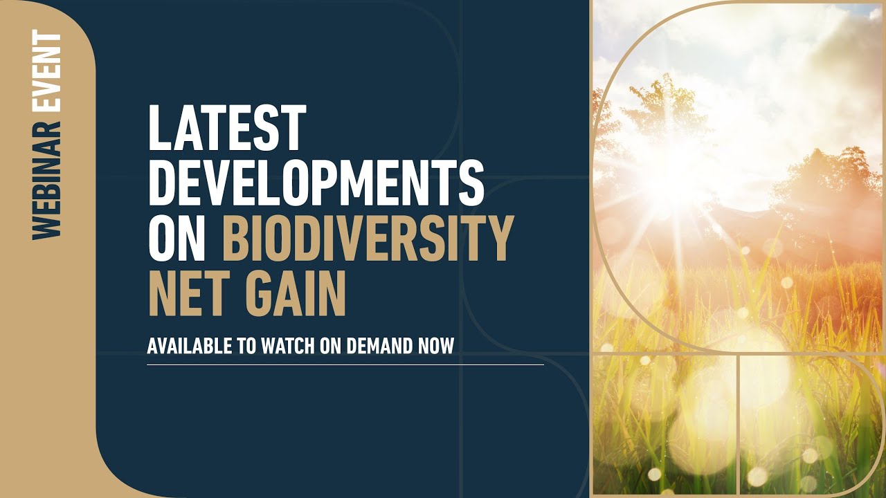 WEBINAR | Latest developments on Biodiversity Net Gain