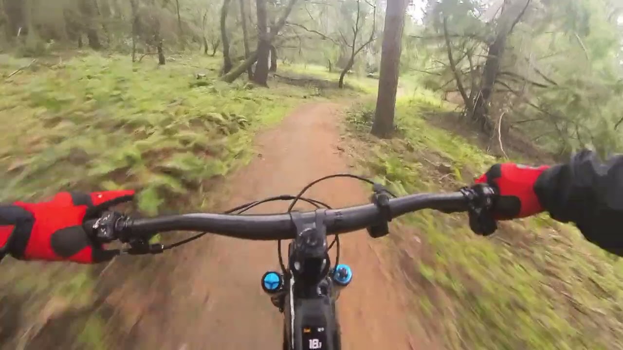 JNT trail with the new Amflow PL Carbon Pro!!!