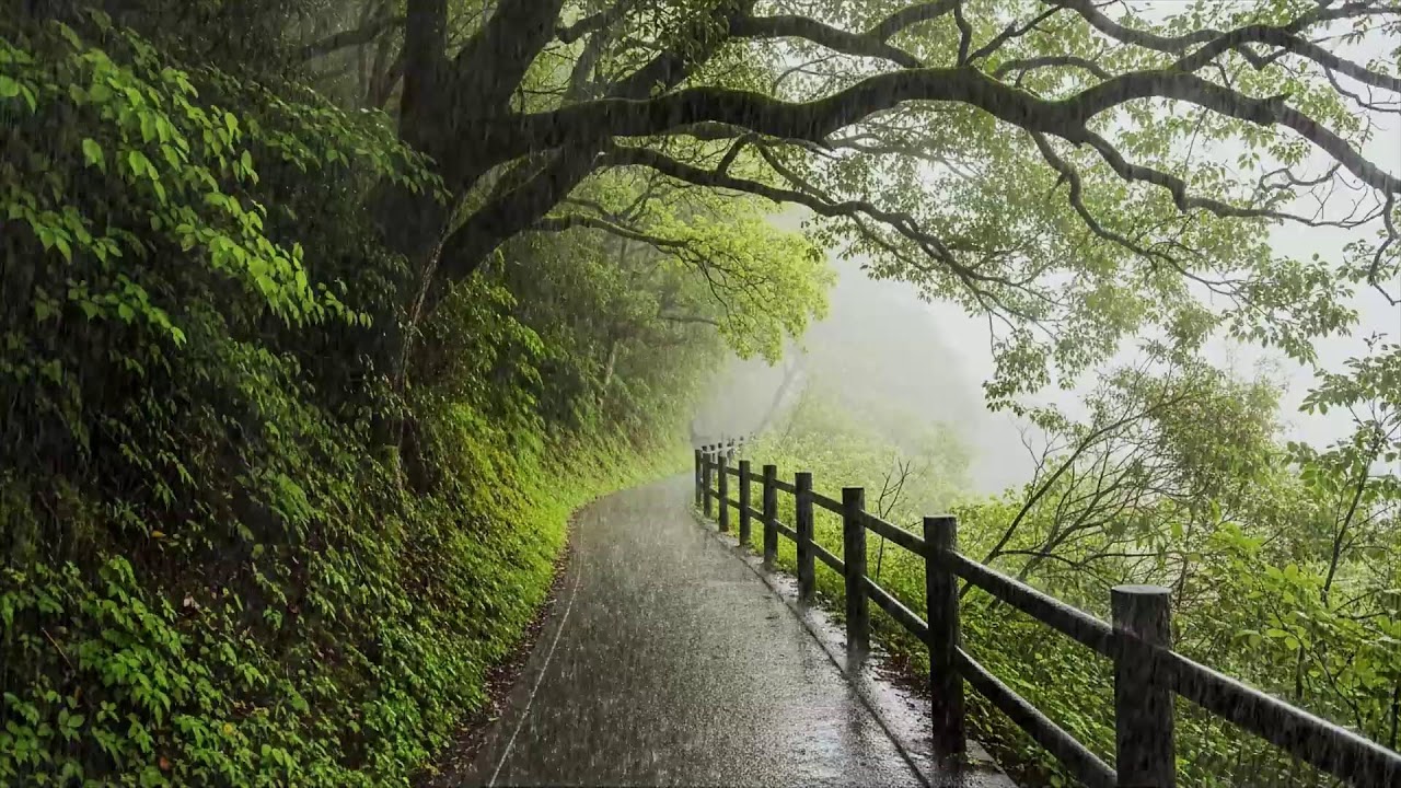 Poids émotionnel – Ambiance pluie calme – Maison silencieuse sous la pluie – Repos 😴🌧️