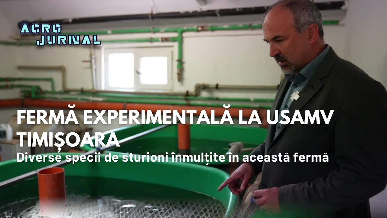 Fermă de sturioni la #USAMVB Timișoara & un nou concept de magazin #digi24