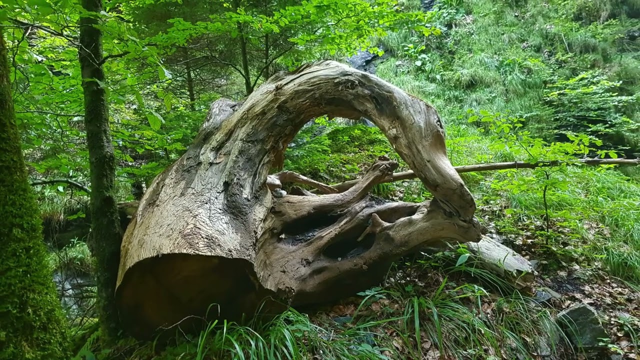 2024 08 Urschweizer Runde