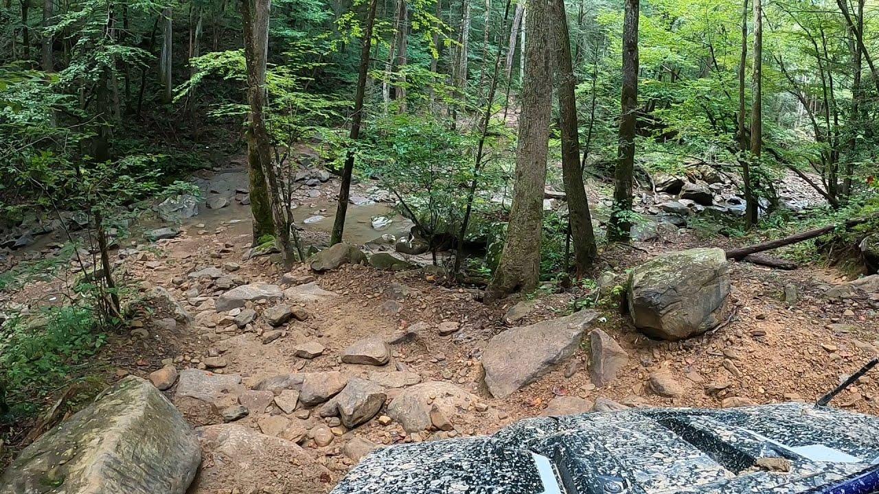 Windrock Park Trail 12 Black Diamond