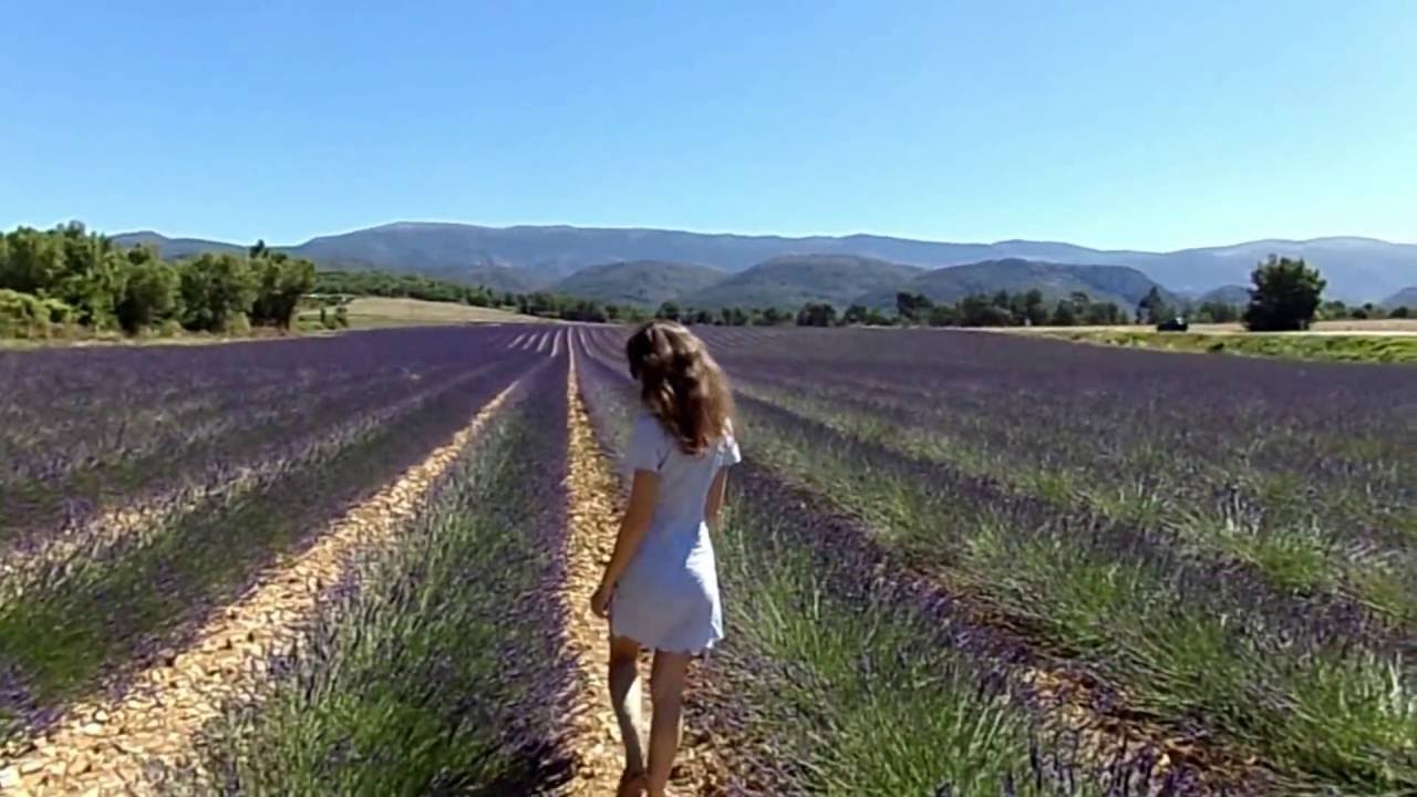 Lavender in Provence | Лаванда | Прованс