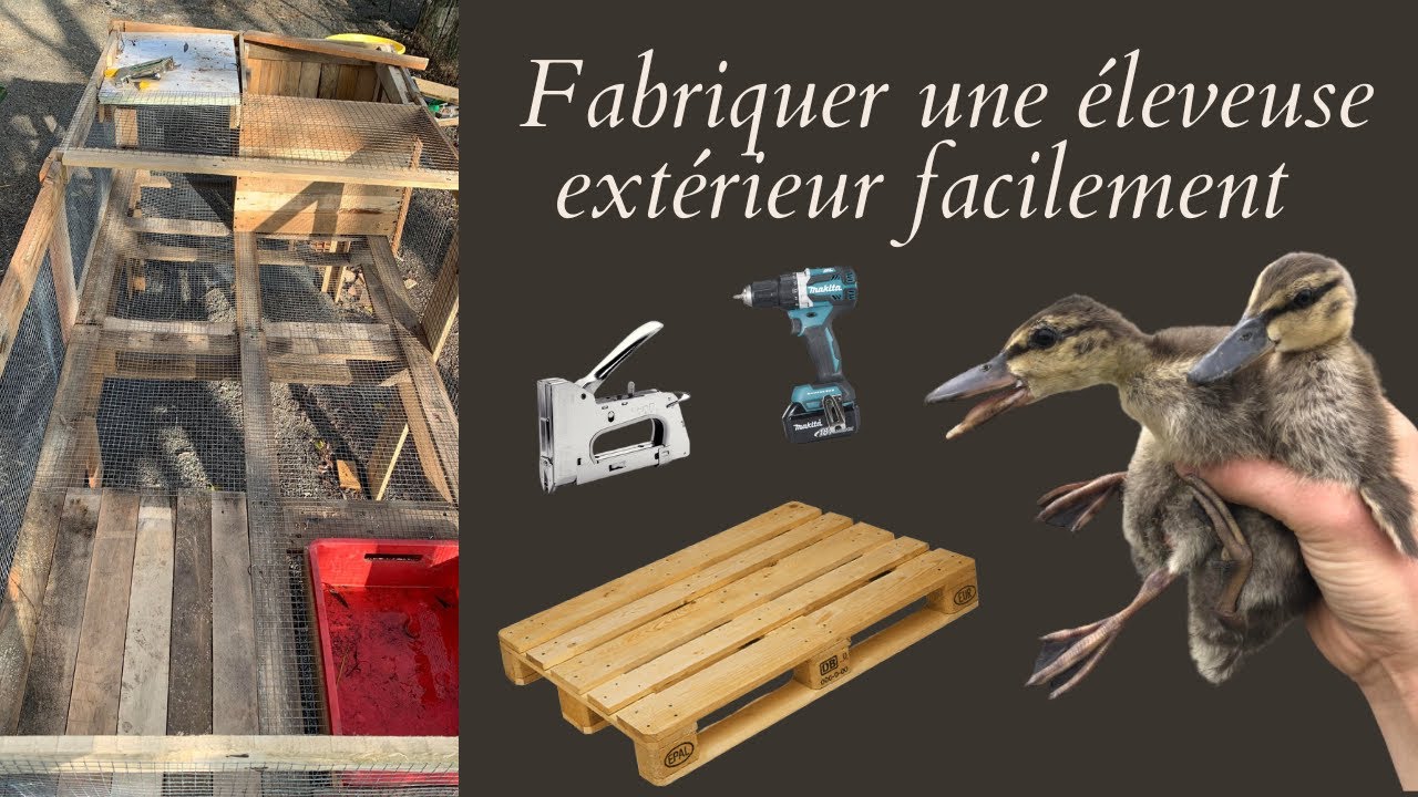 Construire une éleveuse extérieur facilement - PASSION CHASSE ET APPELANTS