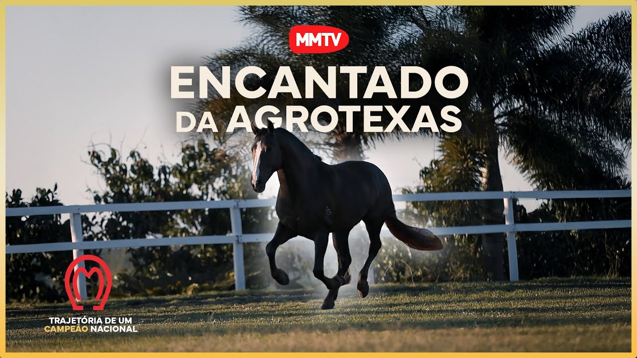 ENCANTADO DA AGROTEXAS - A TRAJETÓRIA DE UM CAMPEÃO NACIONAL