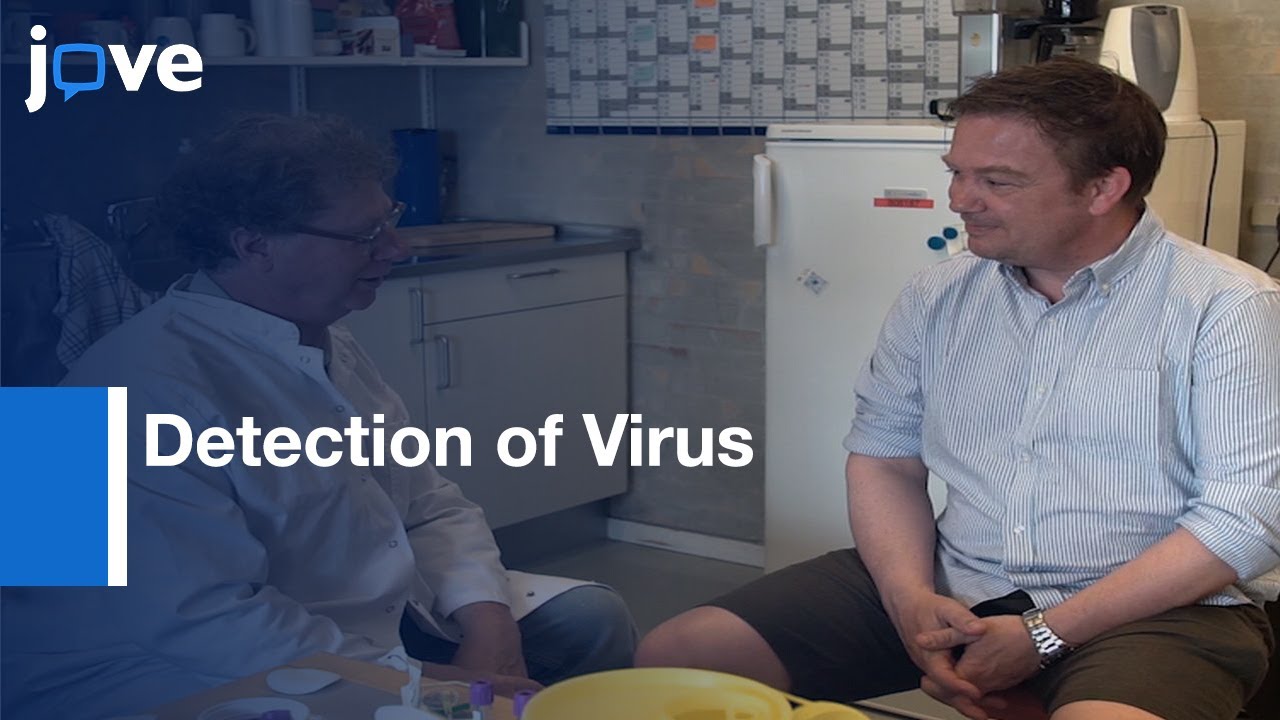 Detection of Virus in Whole Blood Samples | Protocol Preview