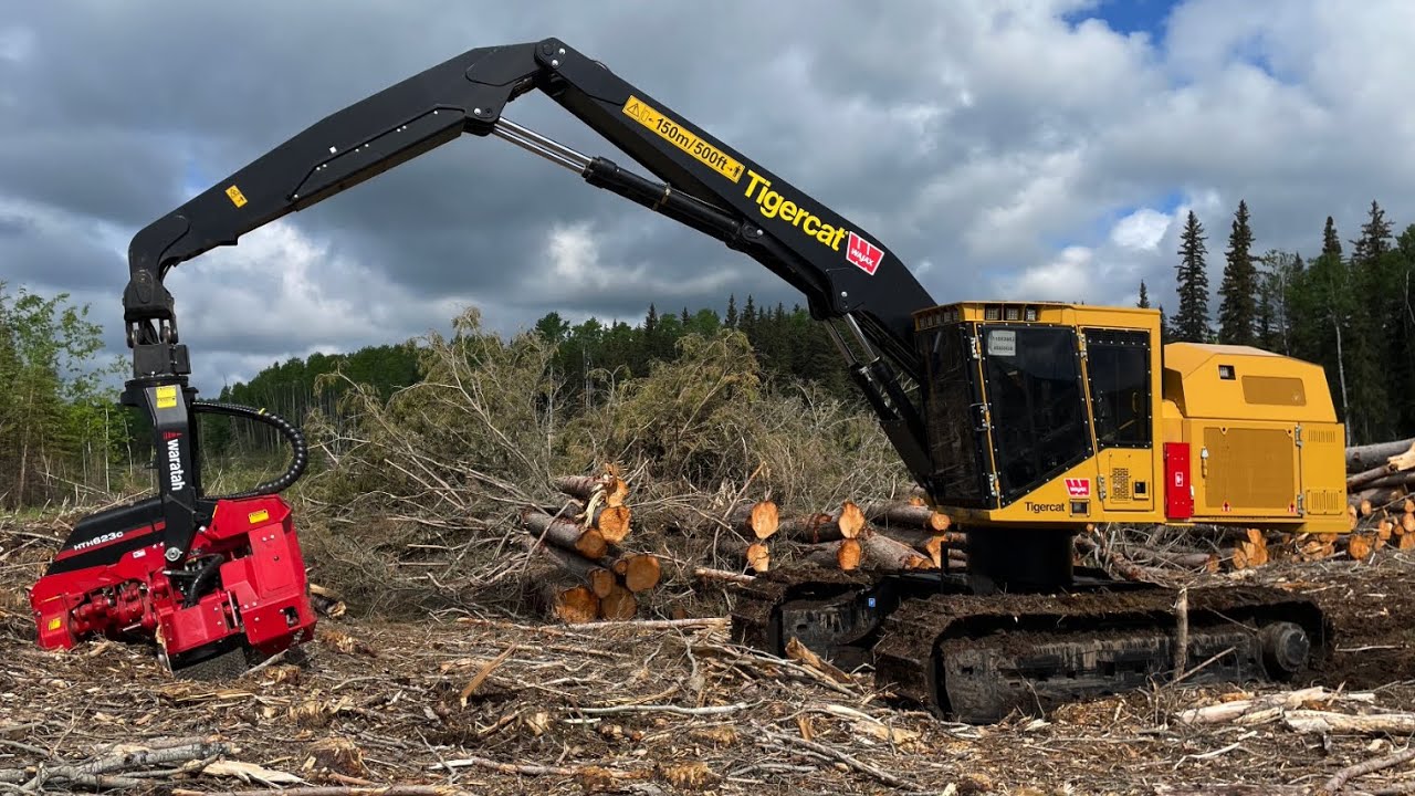 Tigercat H855E Processor with Waratah 623c Head