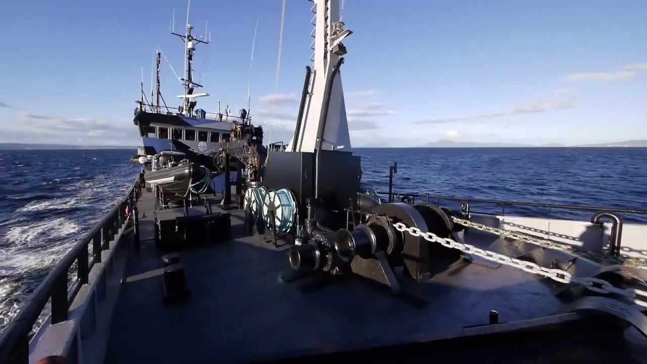 Команда Боба Баркера из Sea Shepherd готовится к операции «Божественный ветер»