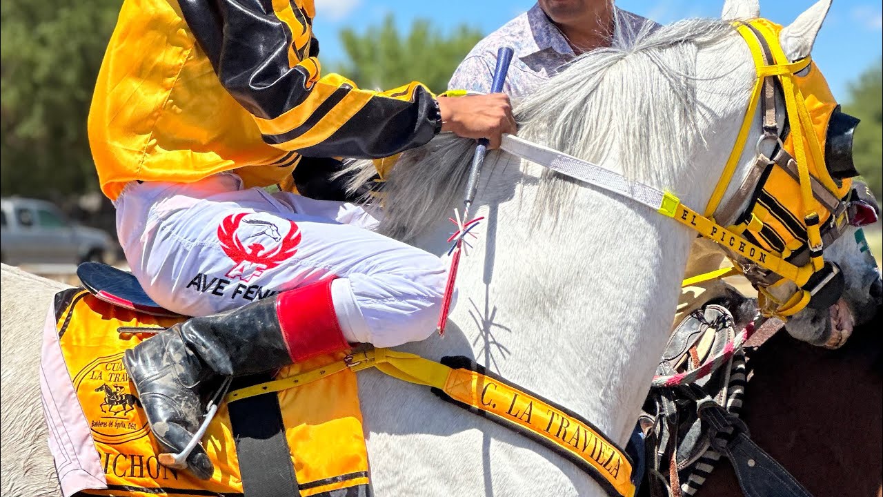 Duelo De Moros Mas Bonitos Del Estado | El Bulico Vs El Pichón, Tapias Race Track Durango Mex.