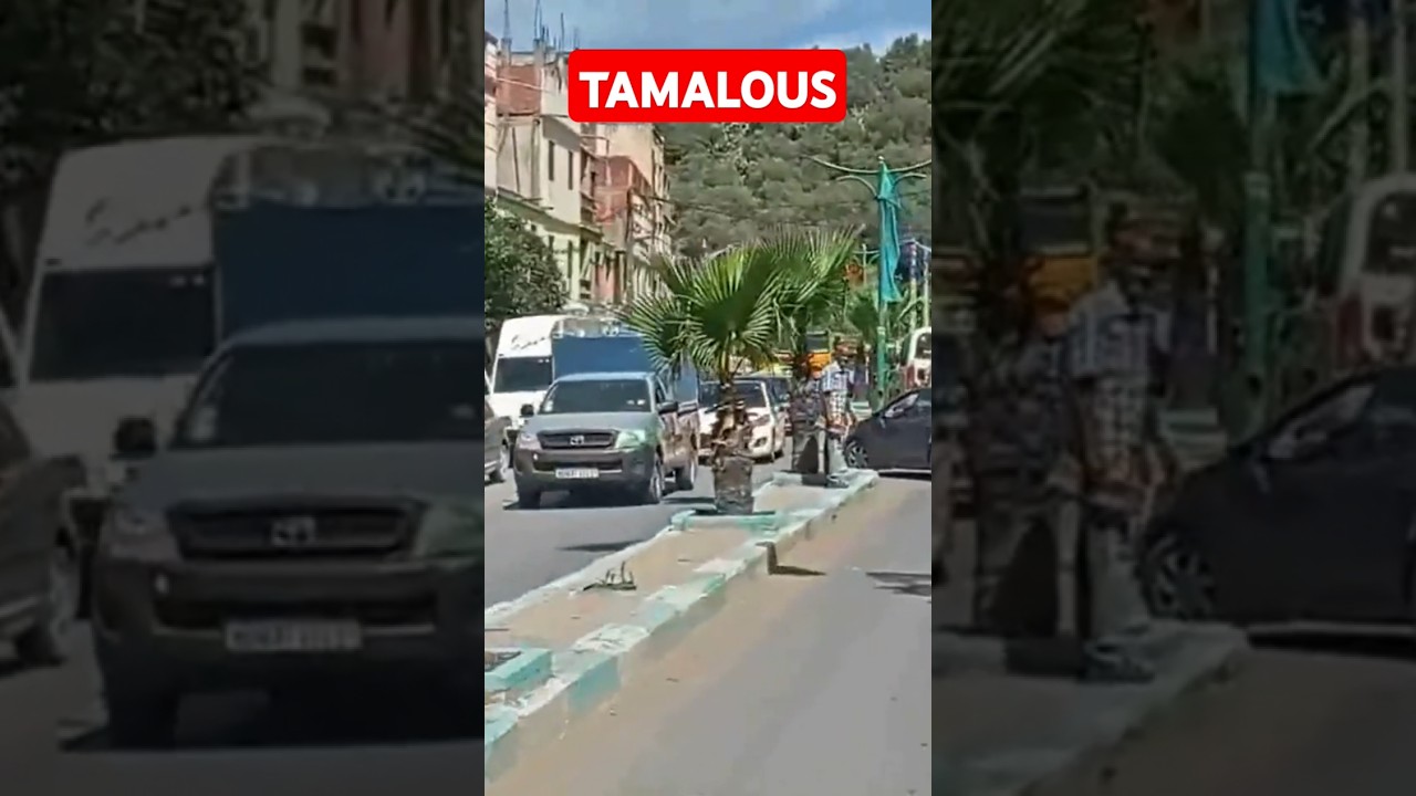 Tamalous (Skikda)