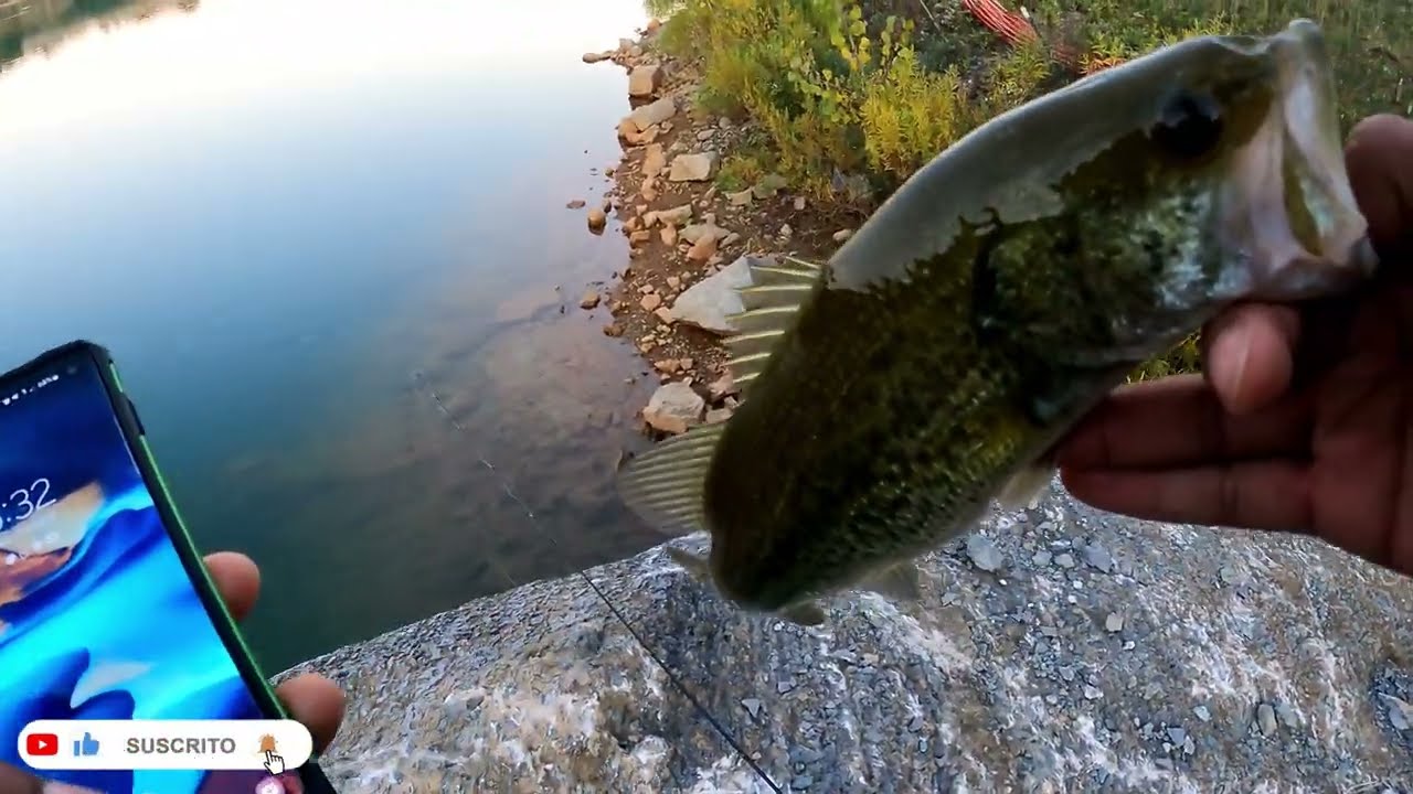 lago privado 3 largemouth