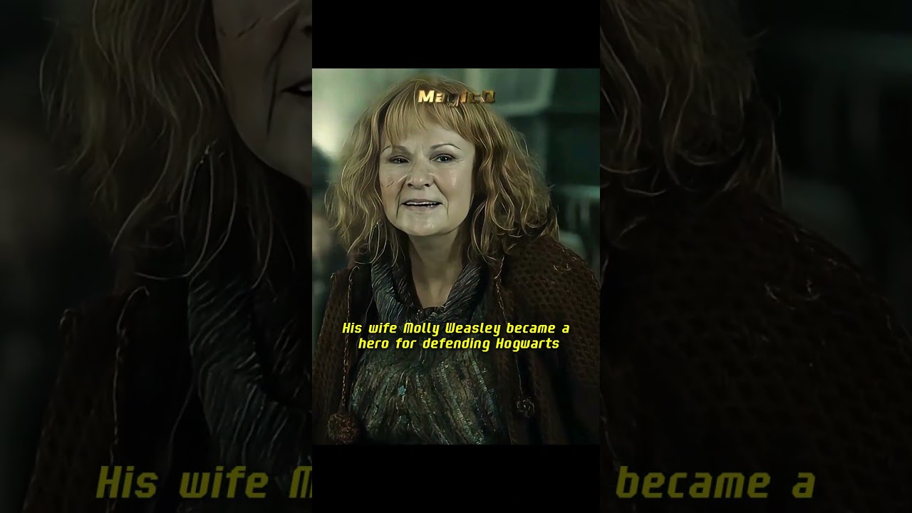 Did the Weasley family take control of the entire wizarding world?  #harrypotter #potterhead